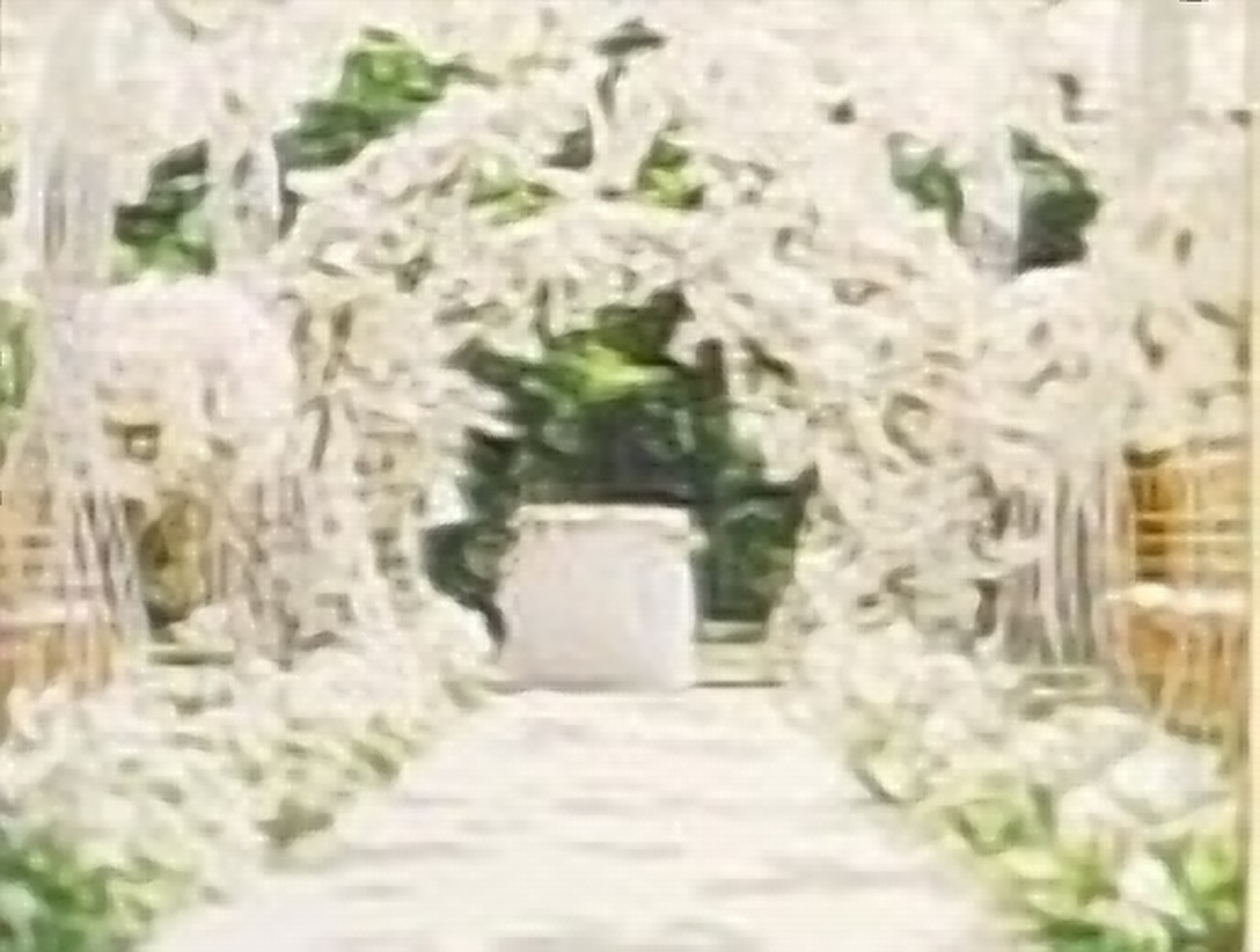 Resort Photo Gallery
